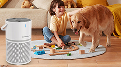 布局寵物賽道,空氣凈化器行業(yè)找到“流量密碼”